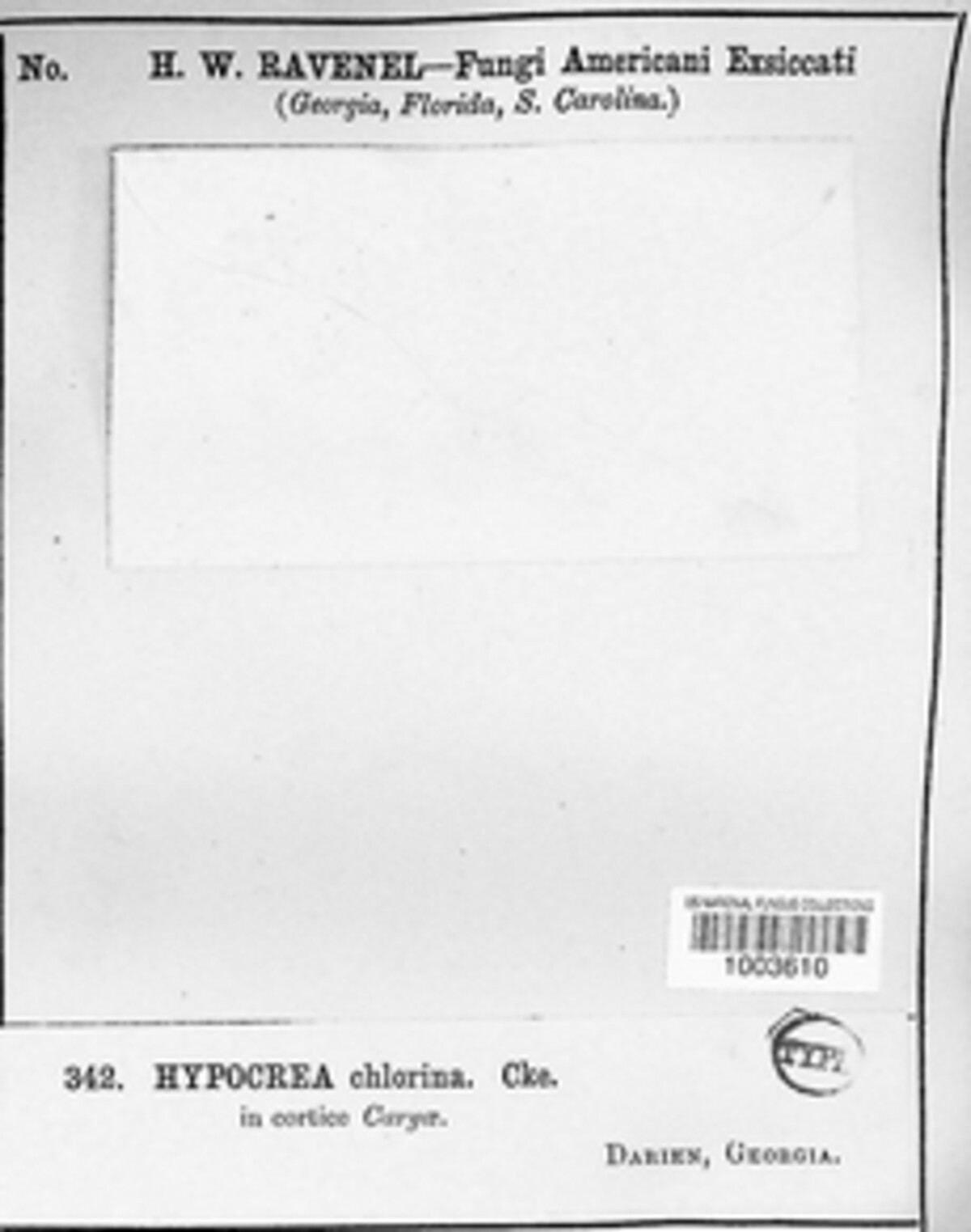 Broomella chlorina image